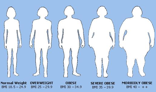 obesity chart